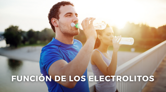 Función de los electrolitos