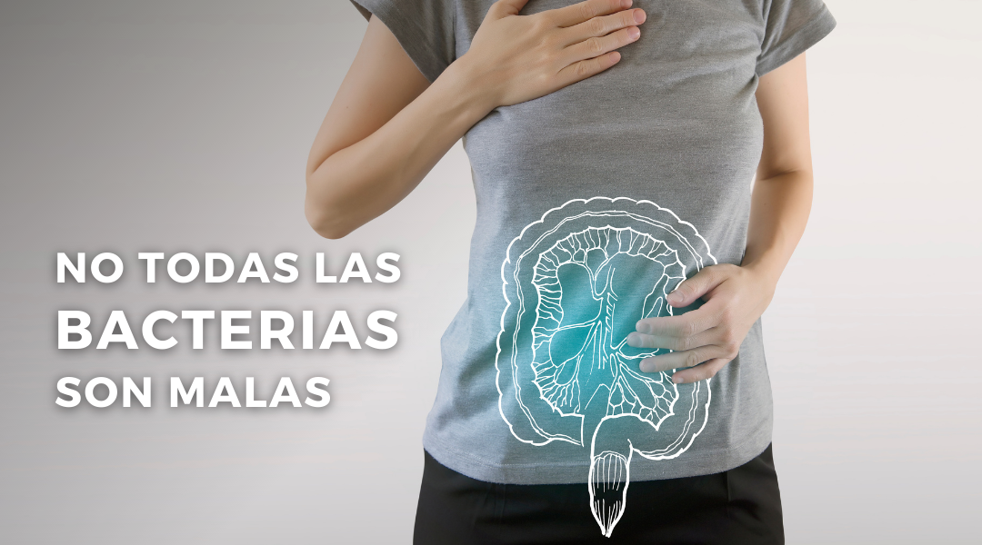 No todas las bacterias son malas