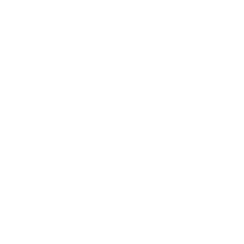 feature-item-2