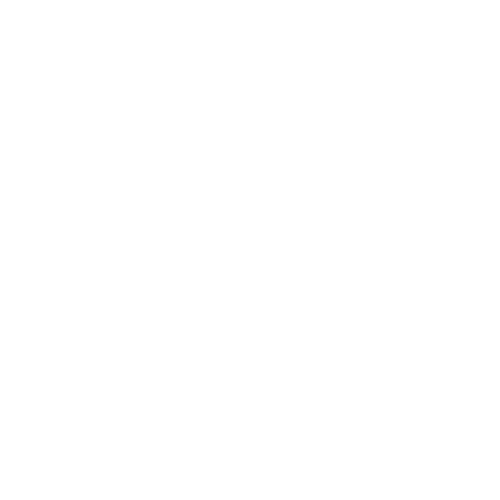 feature-item-1
