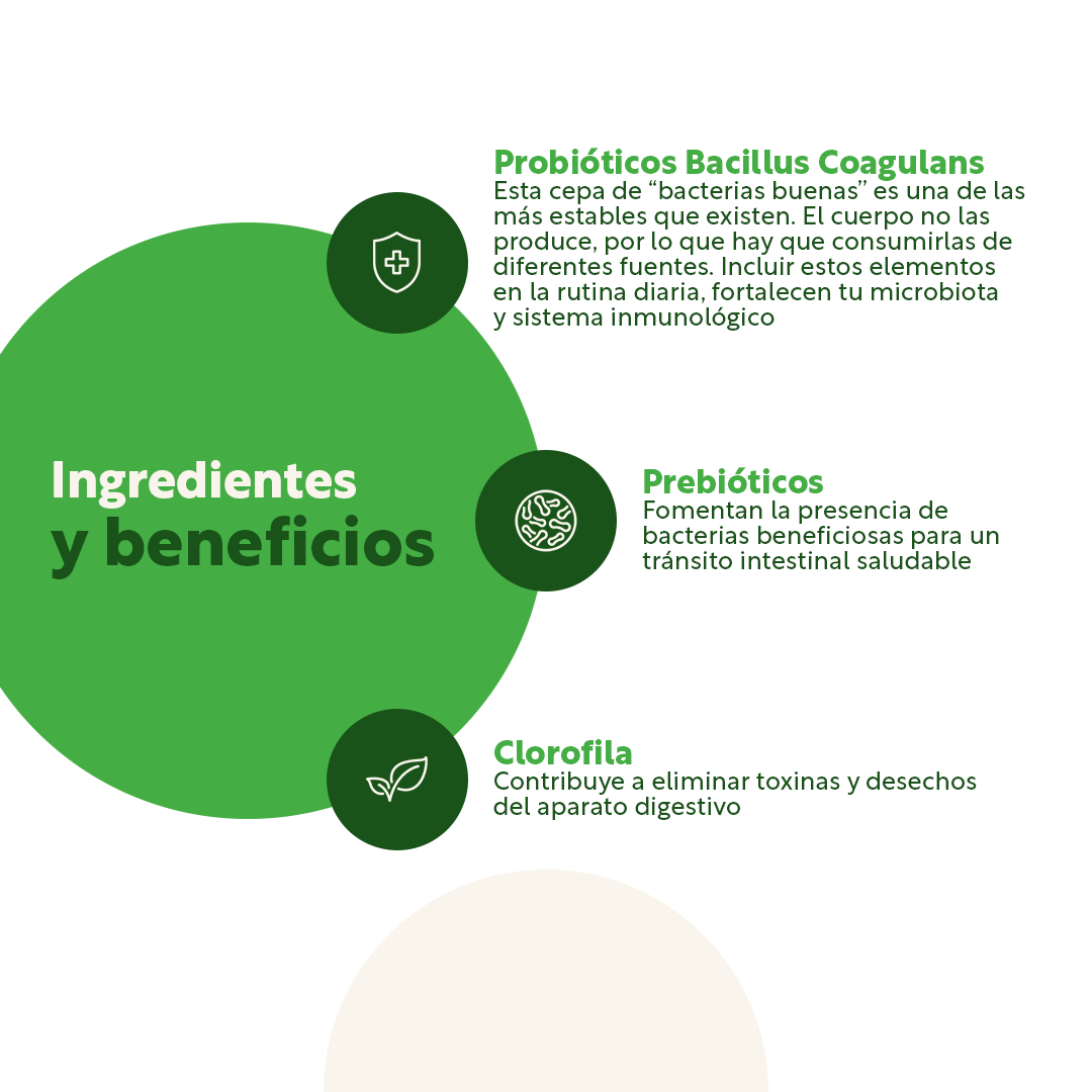 EQUILIBRIO DIGESTIVO