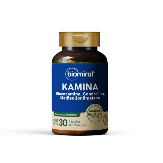 KAMINA